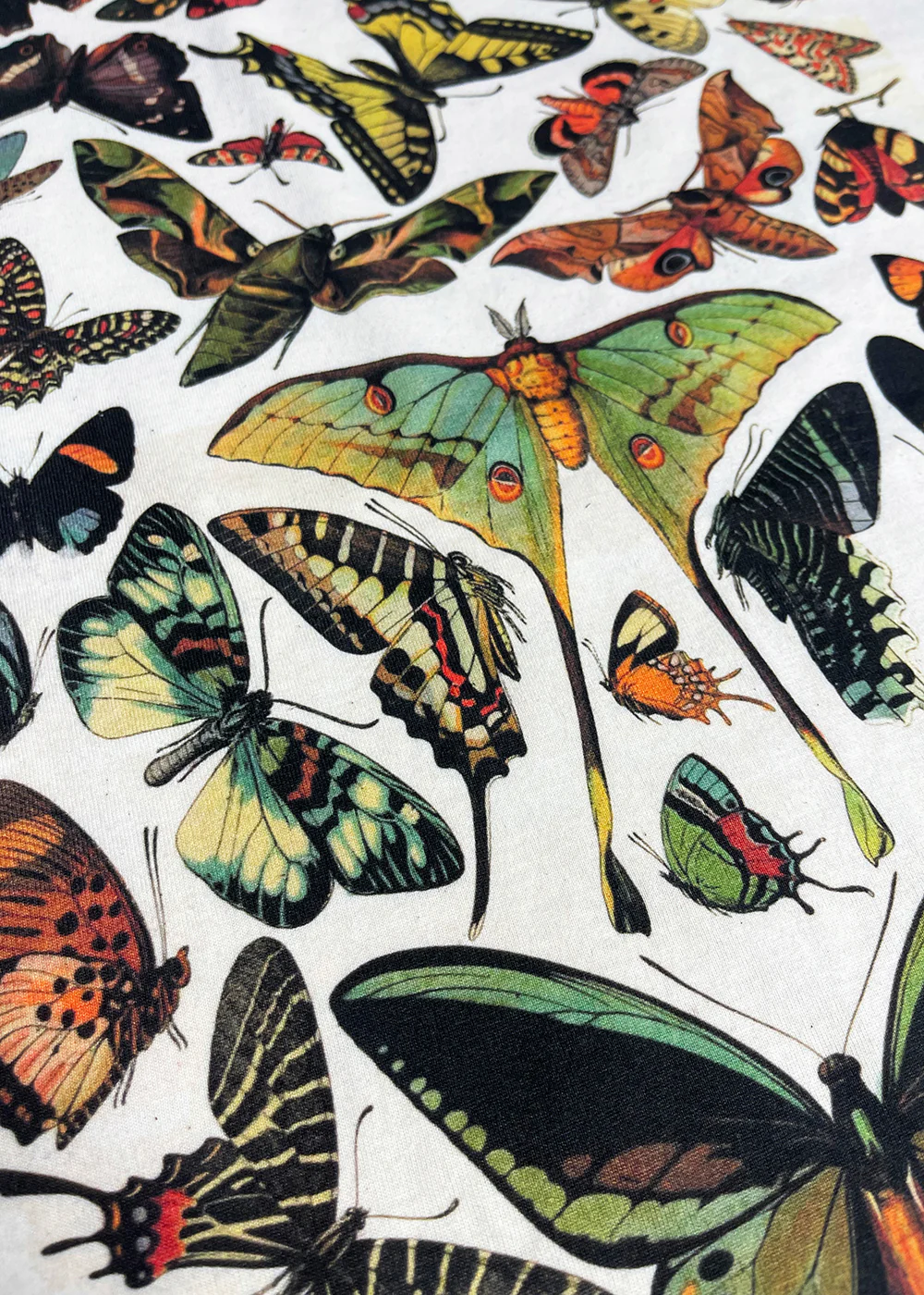 Papillons Hoodie / Back Print - Image 3