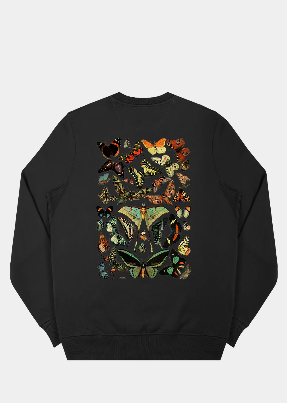 Papillons Sweatshirt / Back Print - Image 3