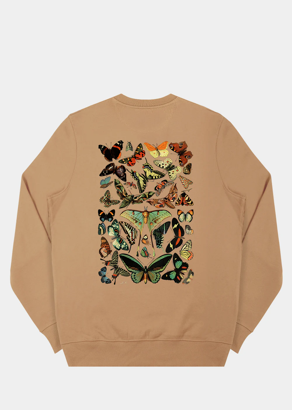 Papillons Sweatshirt / Back Print - Image 7