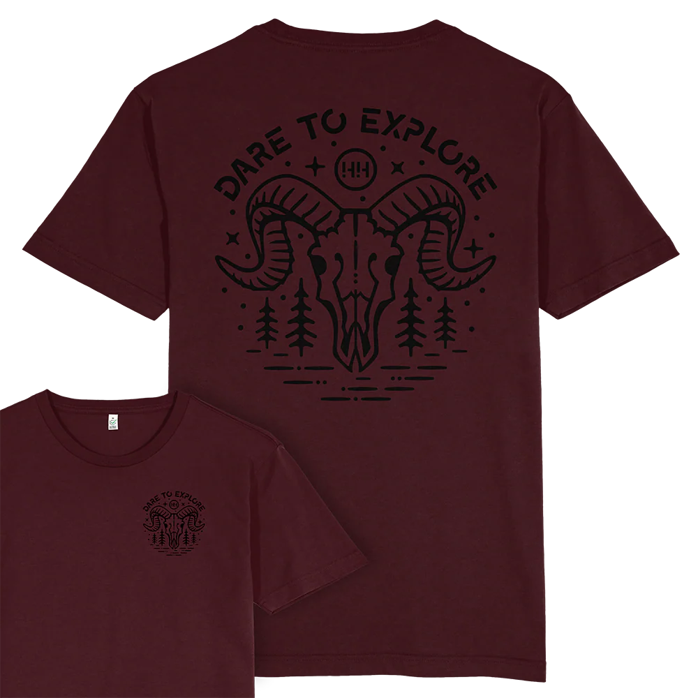 Ram Skull T-shirt / Back Print - Image 5